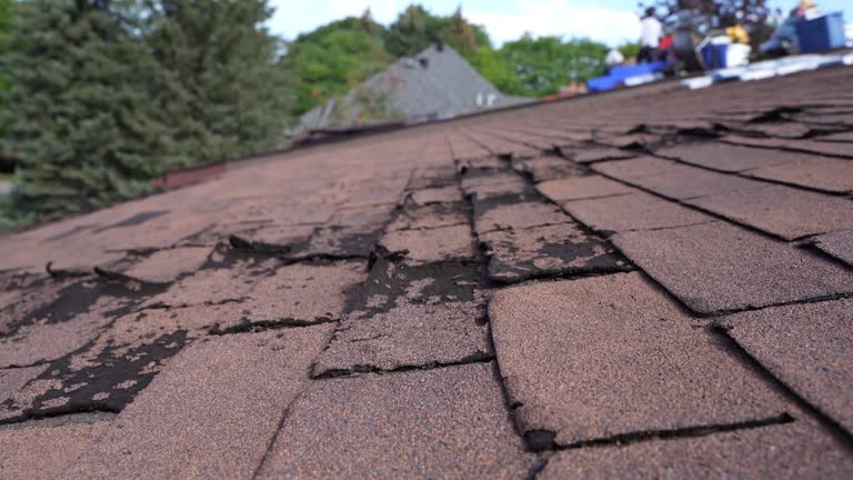 Fast & Reliable Emergency Roof Repairs in St Peter, MN